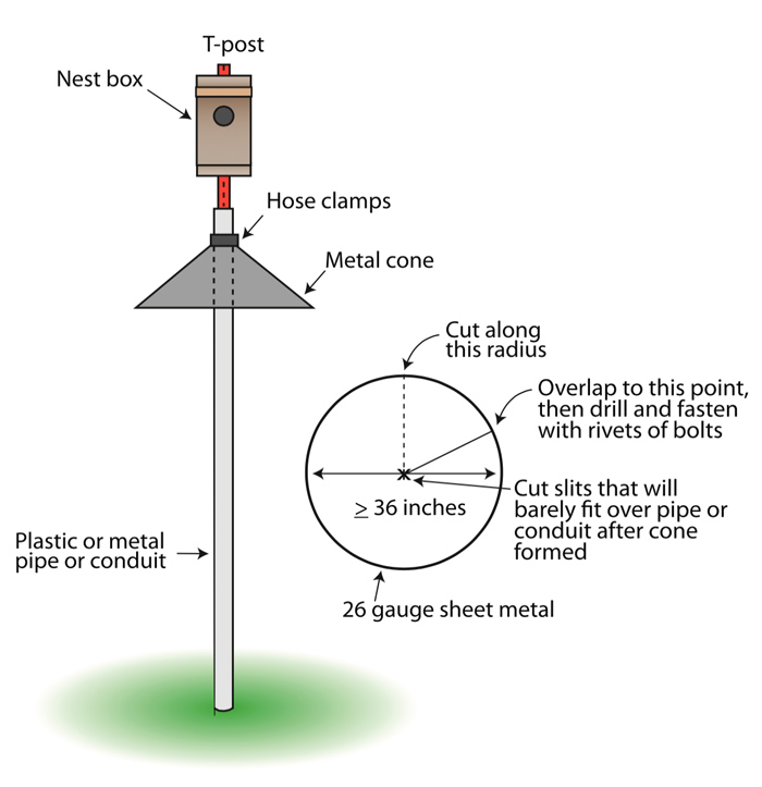 Place lastic or metal pipe or conduit solidly in ground. The cone guard goes onto pole next. The nest box rests on the very top. 