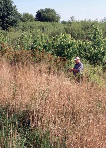 Man standing in field buffer