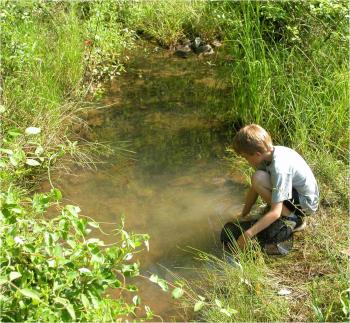 Boy studying stream