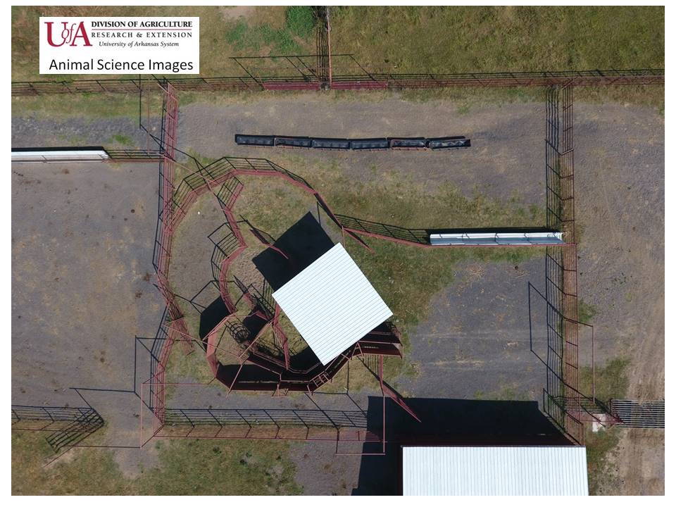 corral with curved chute