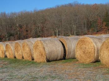 Round Hay Bales
