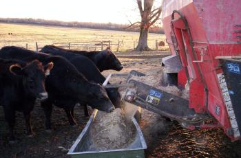 bunk feeding