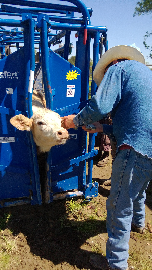 JC Working farm w hired hands Sep. 2014