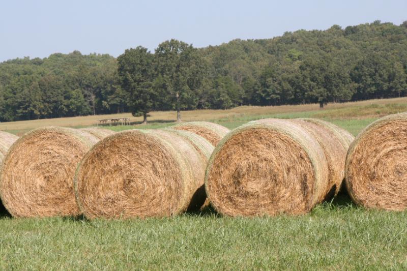 Round bales of hay in Hope Arkansas