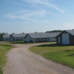 University of Arkansas Broiler Houses