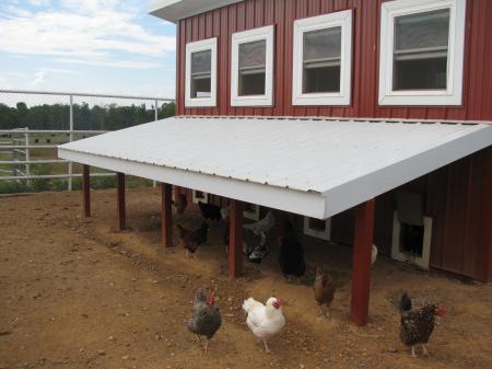 small poultry flock and poultry house