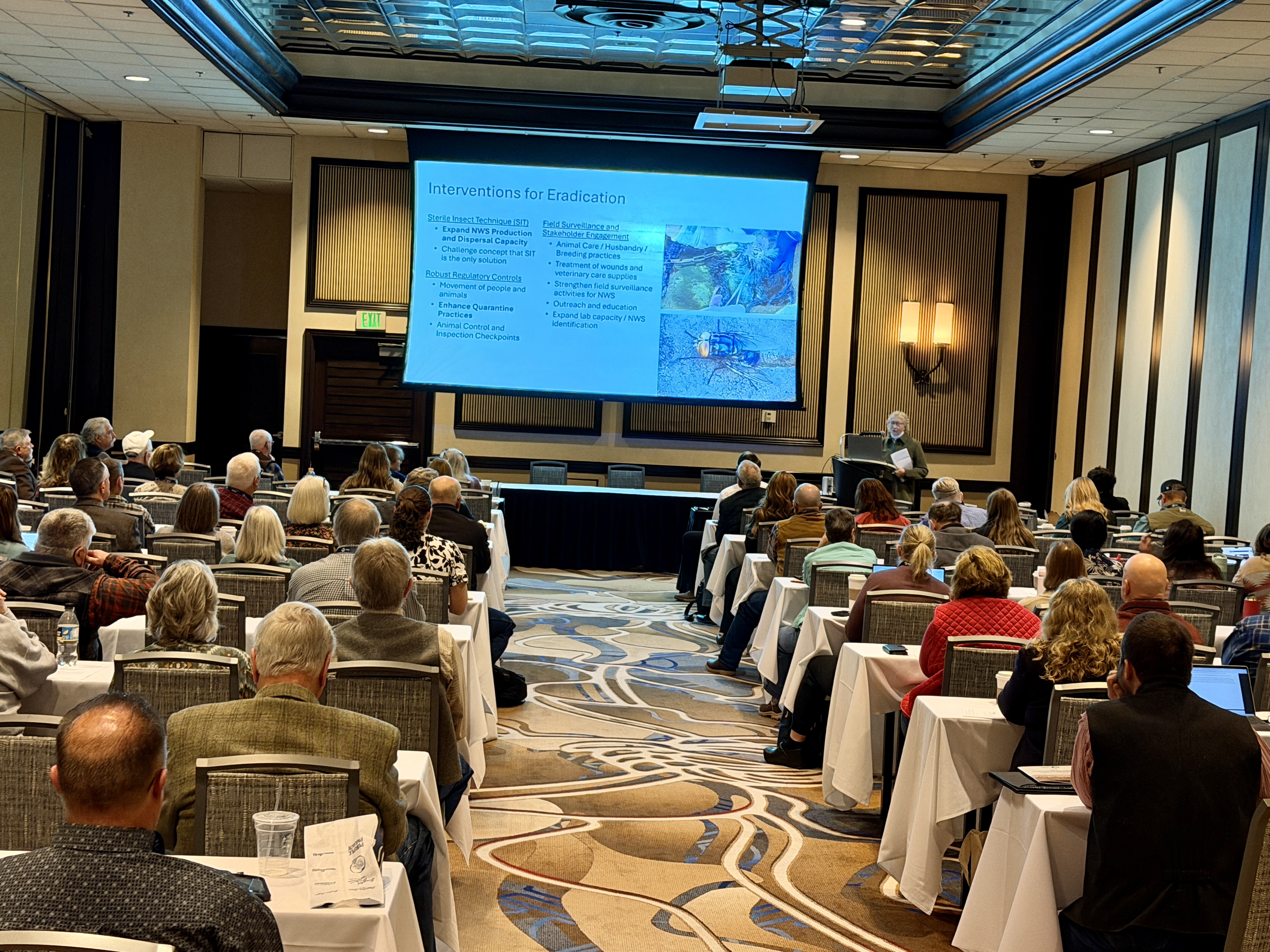 A speaker presents to a room full of people.