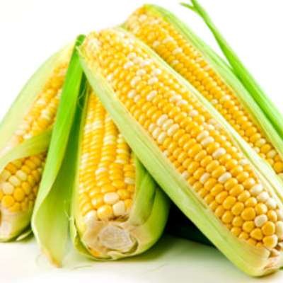 Corn