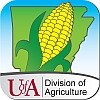 Corn Advisor | Arkansas Corn & Grain Sorghum Board