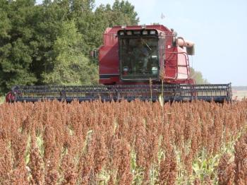Grain Sorghum harvest in Prairie County, Arkansas | Row Crops | Farm & Ranch | Arkansas Extension