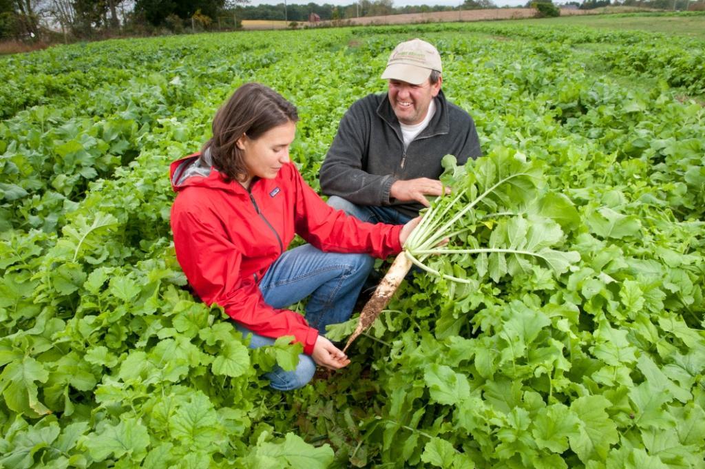 Woman and farmer holding a harvested radish in a large radish field