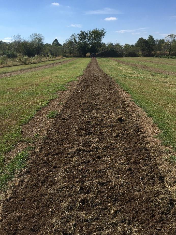 tilled row