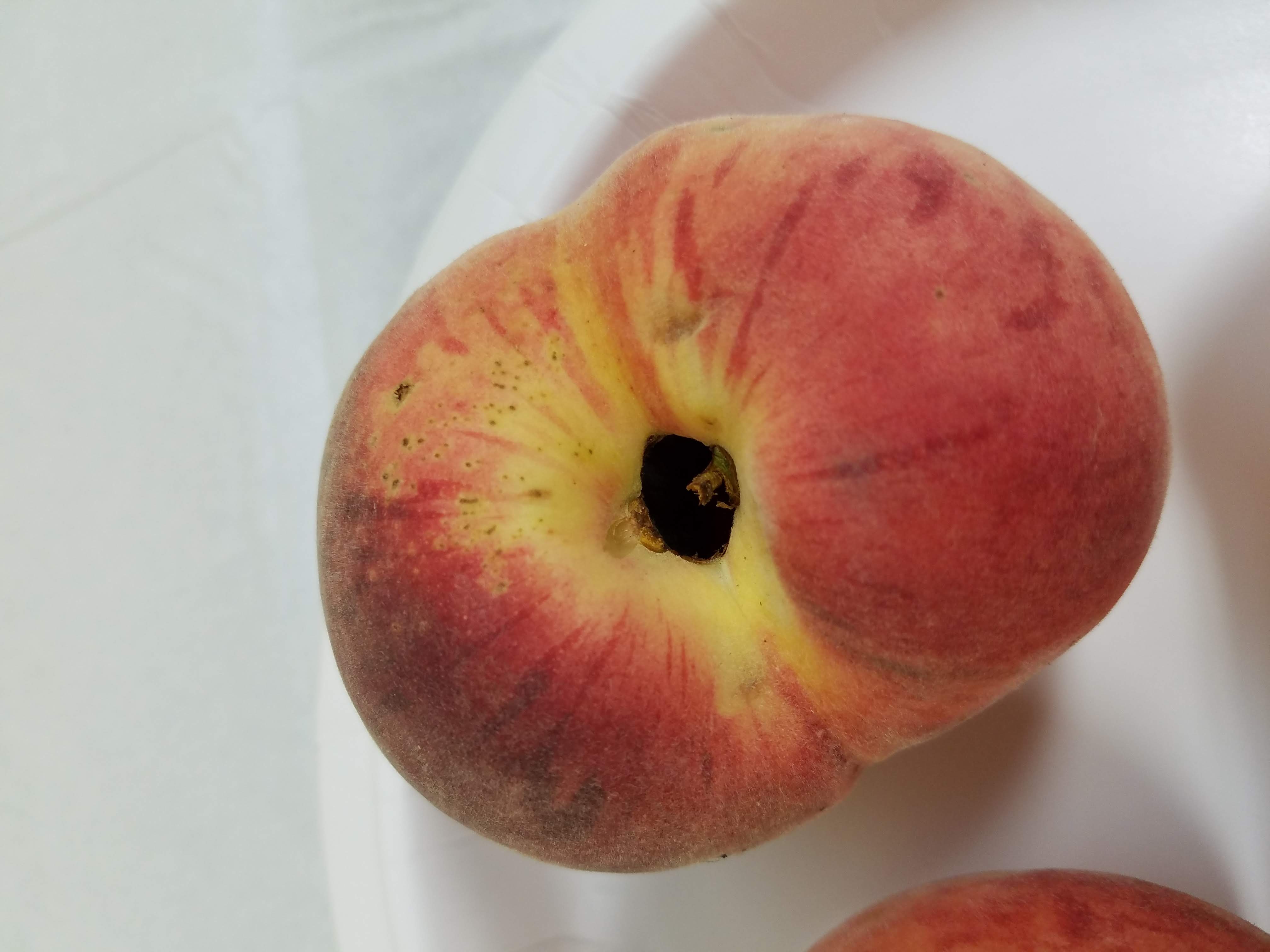 peach split pit