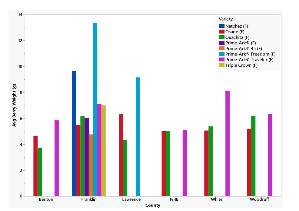 Bar graph comparing berry weights between counties and different varieties that were grown in Arkansas 