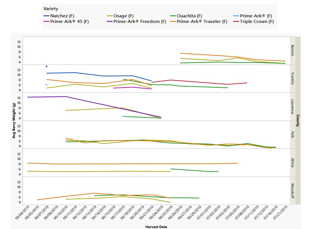 Bar graph comparing berry weights between counties and different varieties that were grown in Arkansas over time