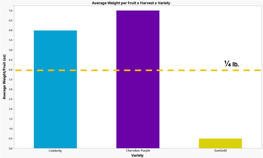 A bar graph comparing the average weight per fruit over the harvest season between three tomato varieties