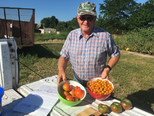 Photo of a smiling grower holding bowls of SunGold and Celebrity tomatoes with a few Cherokee Purple tomatoes sitting on a table