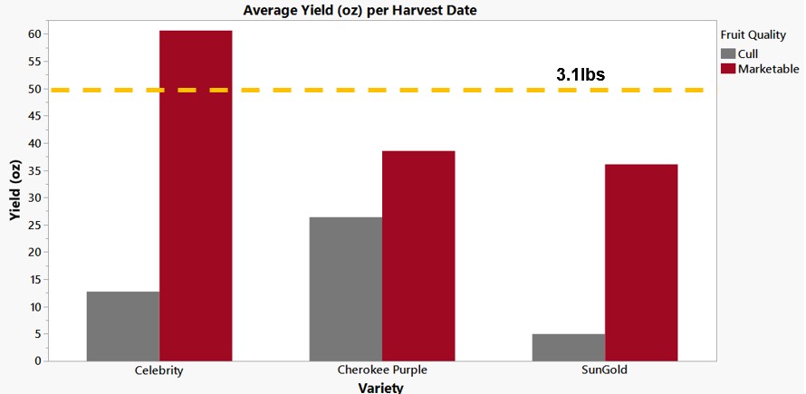 A graph comparing the average yield per harvest date of marketable and unmarketable tomatoes between the three varieties in the demonstration