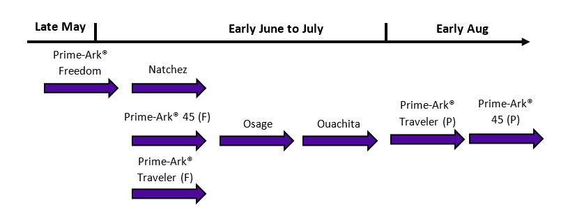 Graphic showing the blooming periods for some Arkansas released blackberry varieties ranging from late May to Early August