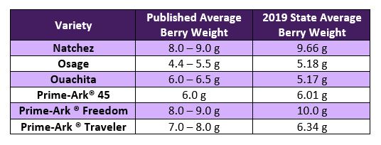 Photo of table with Arkansas varieties comparing published average berry weight with demo results