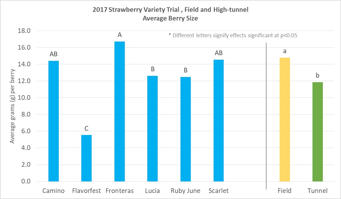 Average Berry Size 2017 Strawberry Variety Trial