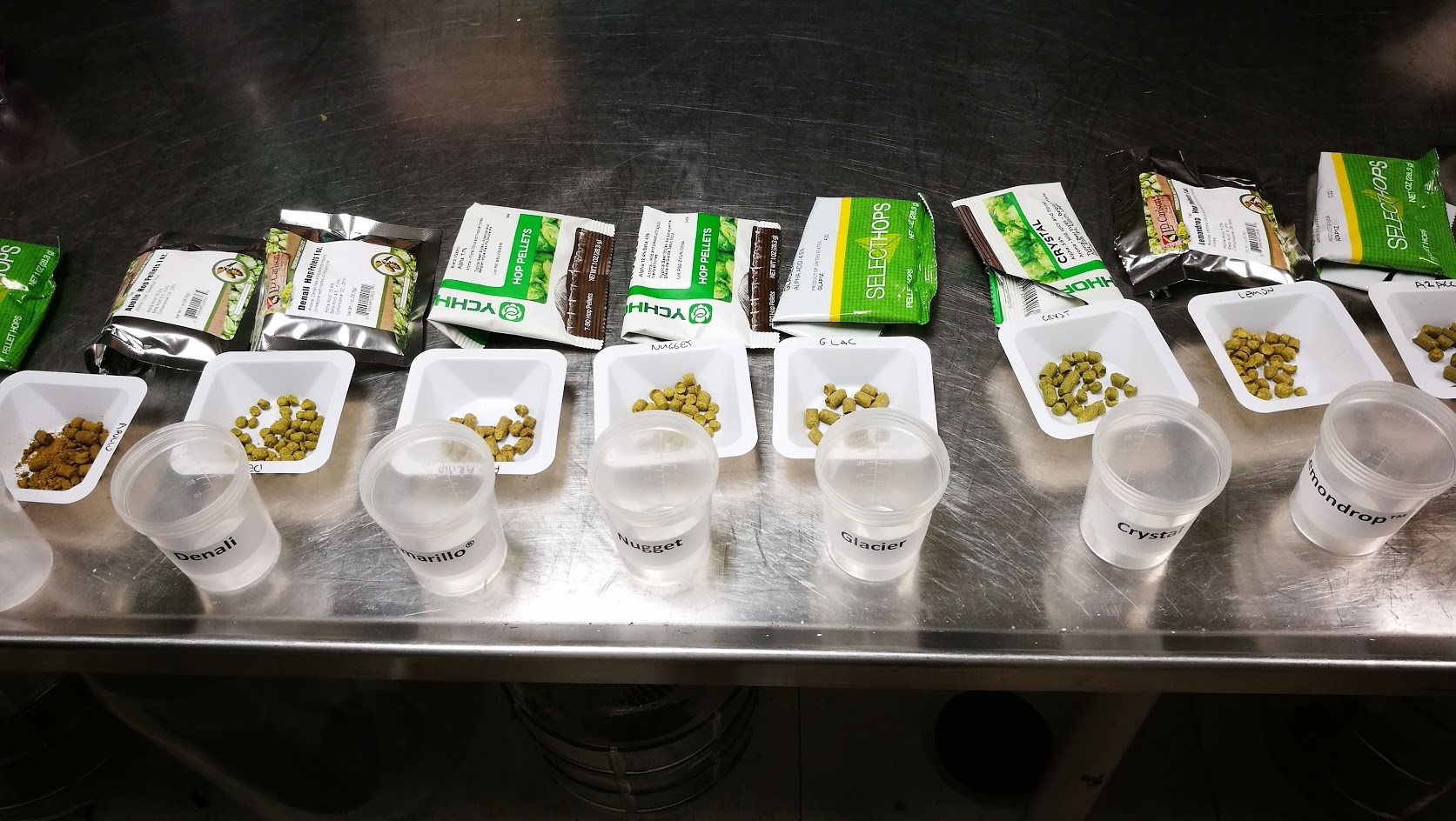 Hops pellets displayed in small trays for sensory panel