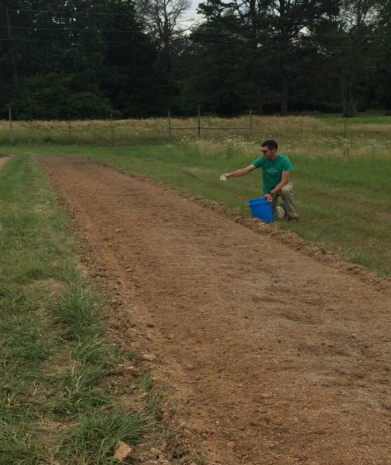 Photo of a young man kneeling on the ground applying fertilizer to a row that has recently been tilled