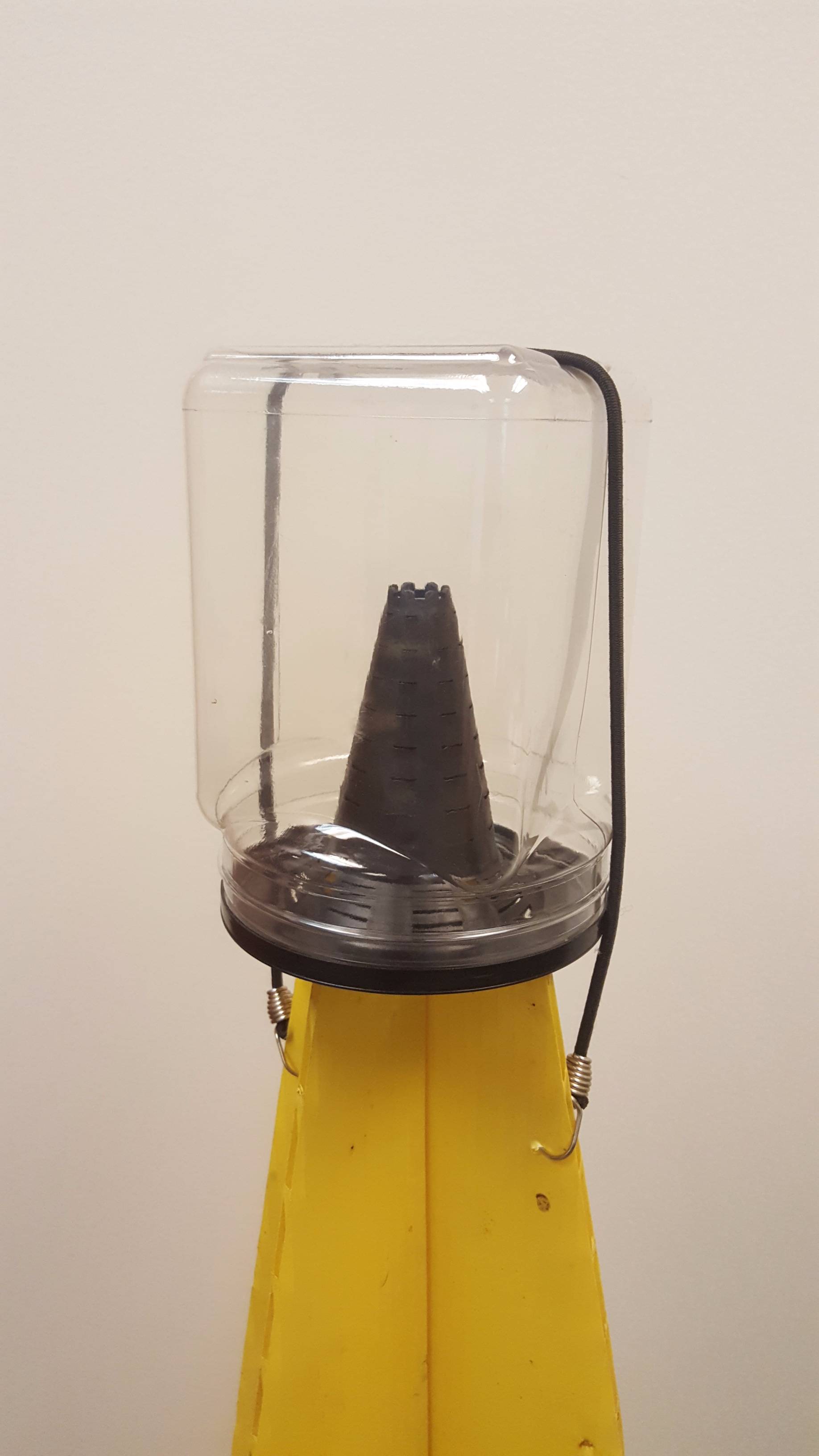 commercial stink bug trap