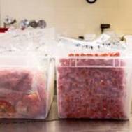 Bags of vacuumed-sealed frozen produce in plastc tubs