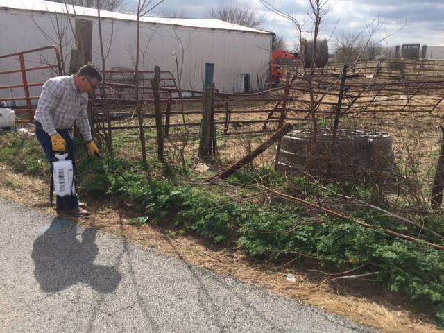 Photo of a man applying herbicide using a hand sprayer to a patch of weeds growing along a fenceline 