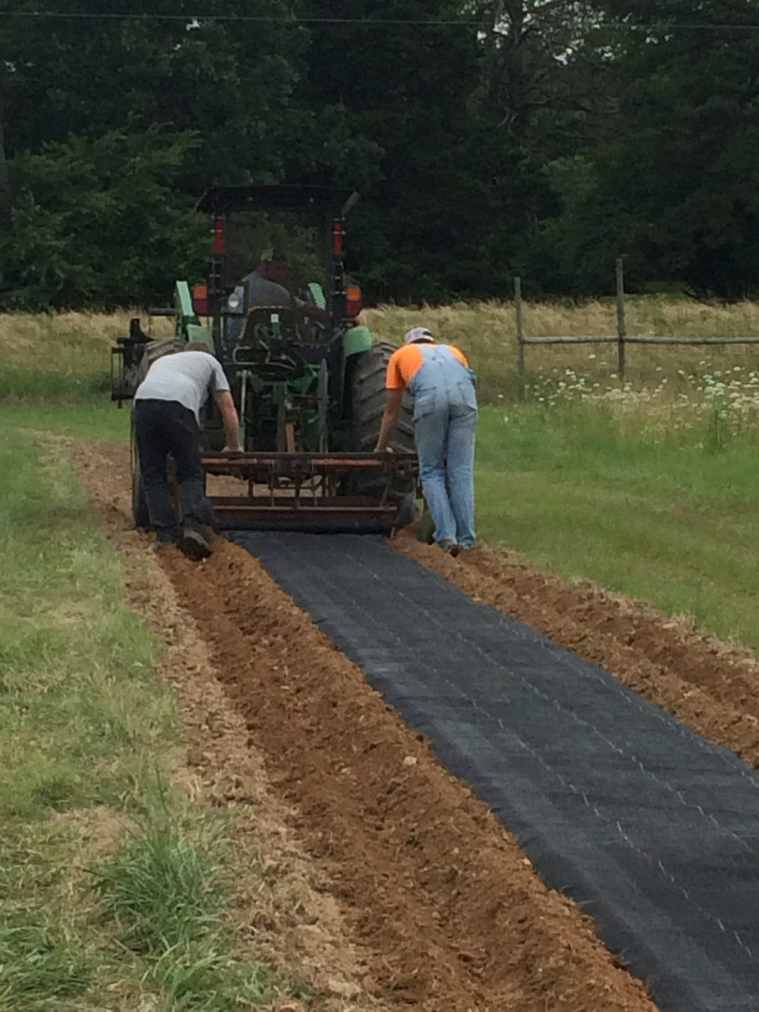 Photo of two men behind a tractor with a mechanism attached that is applying black landscape fabric to a tilled row