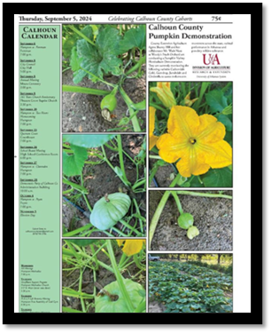 Figure 8. Shaney Hill, Ag Agent for Calhoun County, shared a local newspaper clipping that featured the pumpkin demonstration and her updates. 