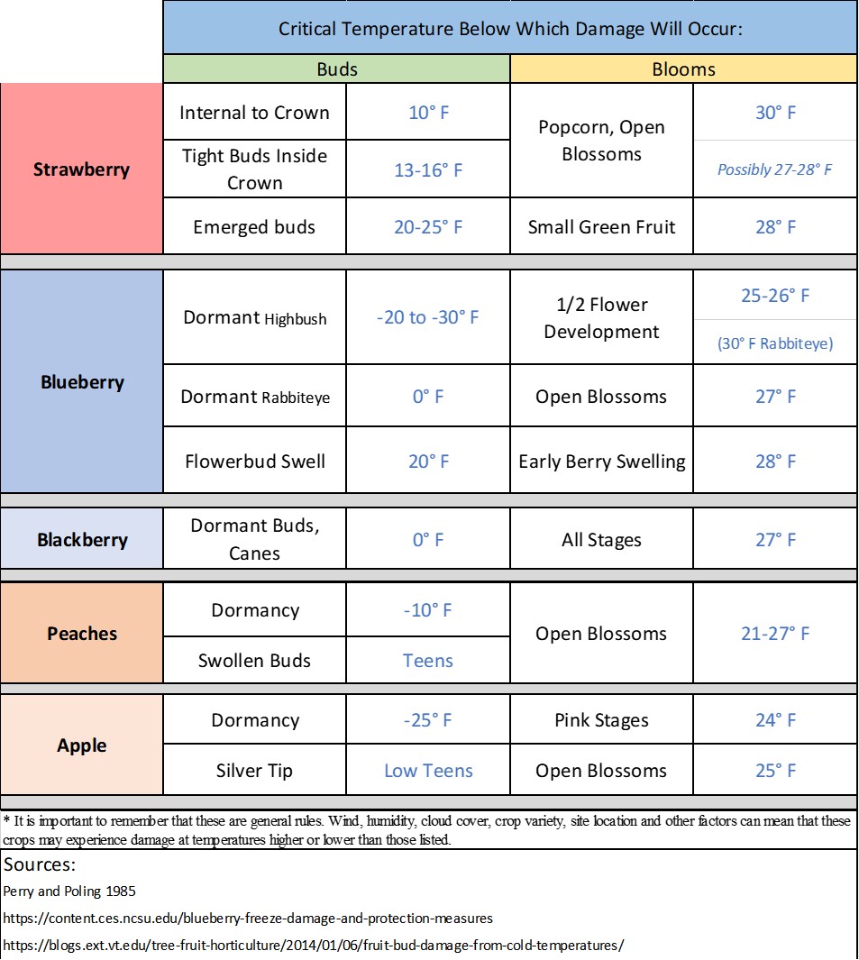 Table listing the critical temperatures below which damage will occur at different stages for strawberry, blueberry, blackberry, peaches and apple