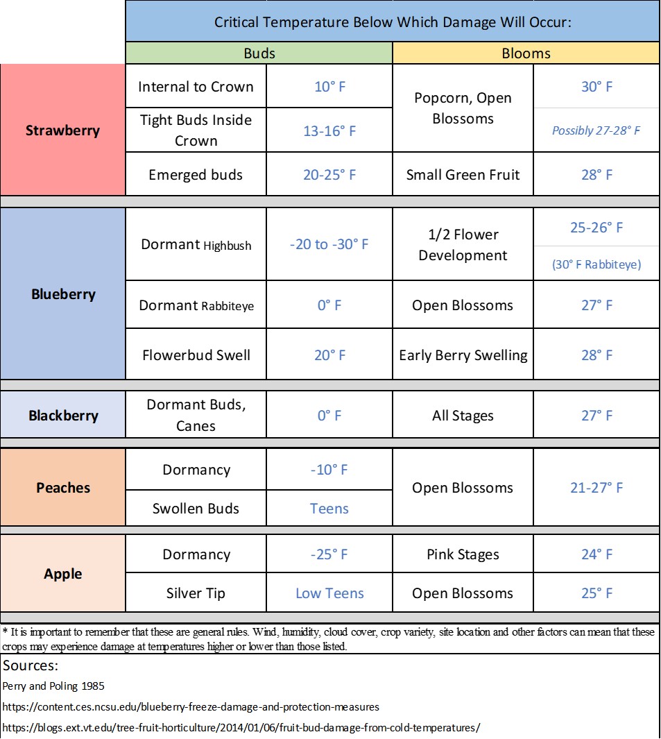 Table listing the critical temperatures below which damage will occur at different stages for strawberry, blueberry, blackberry, peaches and apple