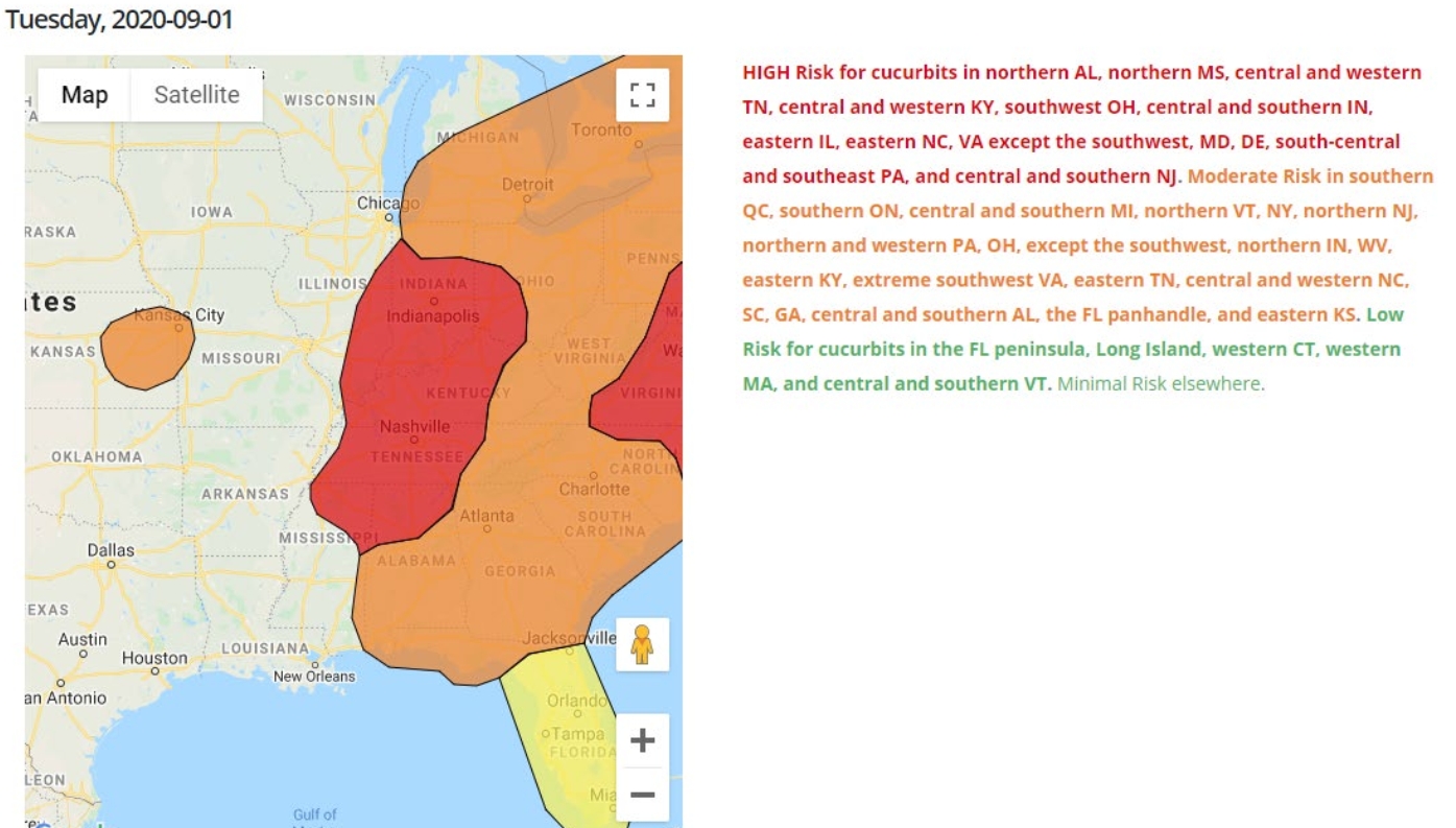 Picture 5. Forecast for September 1st 2020 that indicated a high risk of cucurbit downy mildew for areas close to Arkansas. Current forecasts (September 1st, 2022) indicate no risk at this time, but this could change quickly.