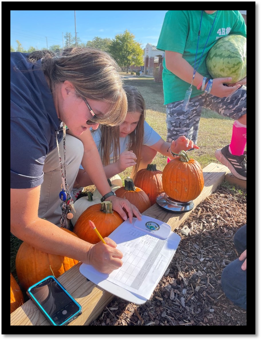 Figure 9. Brad McGinley worked with Sheridan Elementary and Intermediate Schools for the pumpkin demonstration. Teachers and students are shown here collecting data on Justify pumpkins.