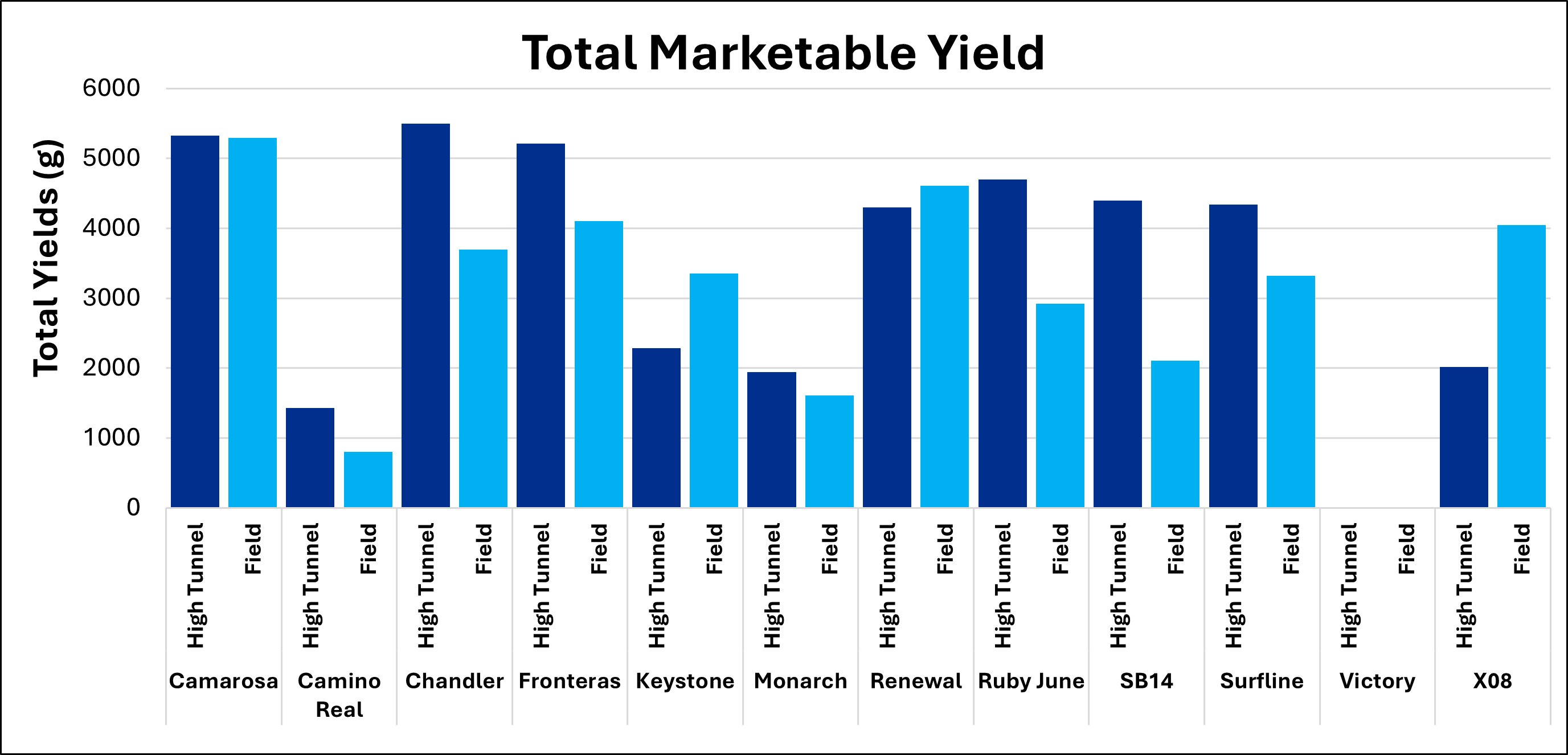 Total marketable yield by variety