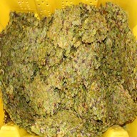 A yellow lug with grape skins/pomace after being pressed