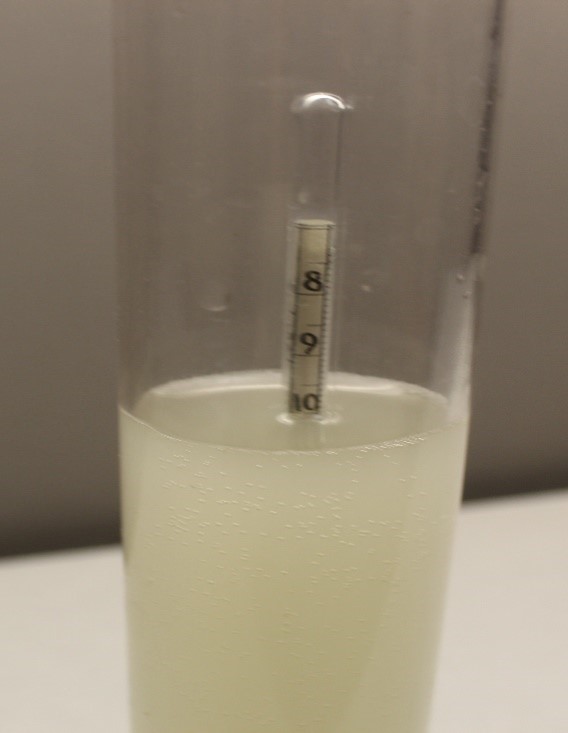 The tip of a hydrometer sticking out of the top of a graduated cylinder filled with grape juice