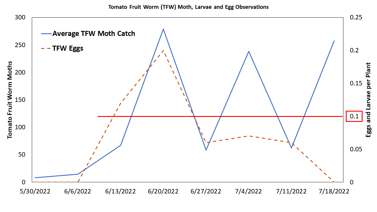 2022 Arkansas Tomato Fruitworm Graph