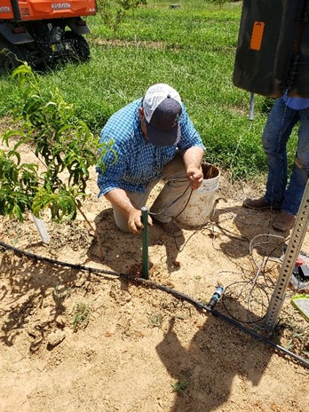 Soil moisture sensors being installed.