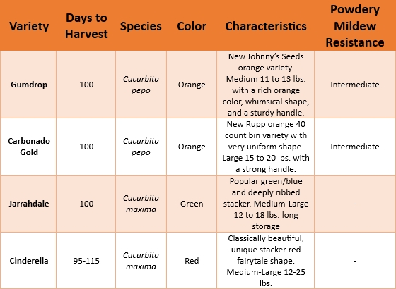 Table 1. A table showing the four varieties of pumpkins in the demonstration, their different characteristics, and advertised size from seed companies. 