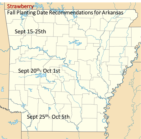 Geographical map of Arkansas with fall planting date recommendations labeled for each region. Planting date for northern Arkansas is September 15-25th, central Arkansas is September 20th-October 1st, and southern Arkansas is September 25th-October 5th.