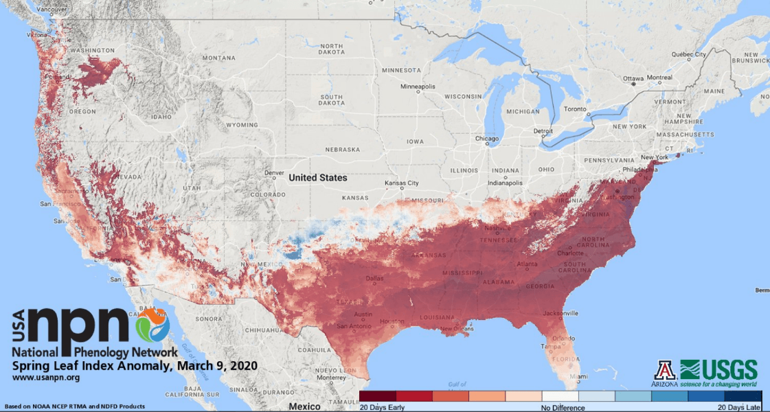 Map of the continental U.S. showing the leaf index from the National Phrenology Network