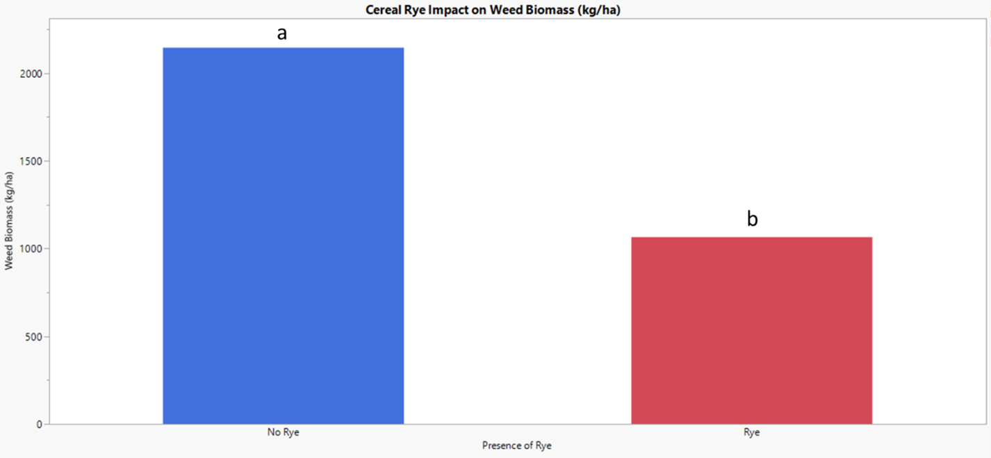 Bar graph showing the impact of cereal rye on weed biomass. The presence of cereal rye had a lower amount of weed biomass compared to no cereal rye