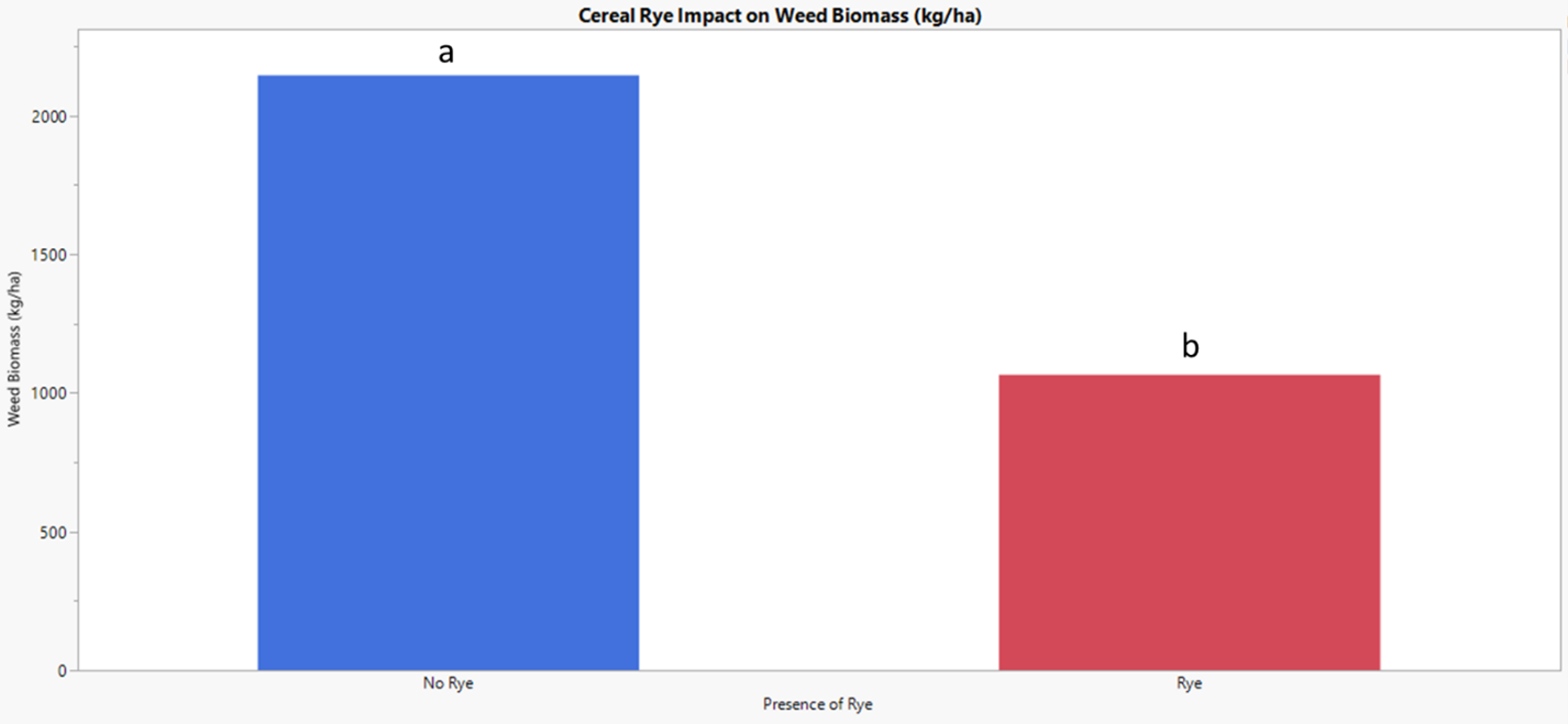 Bar graph showing the impact of cereal rye on weed biomass. Bar graph showing the impact of cereal rye on weed biomass. The presence of cereal rye had a lower amount of weed biomass compared to no cereal rye