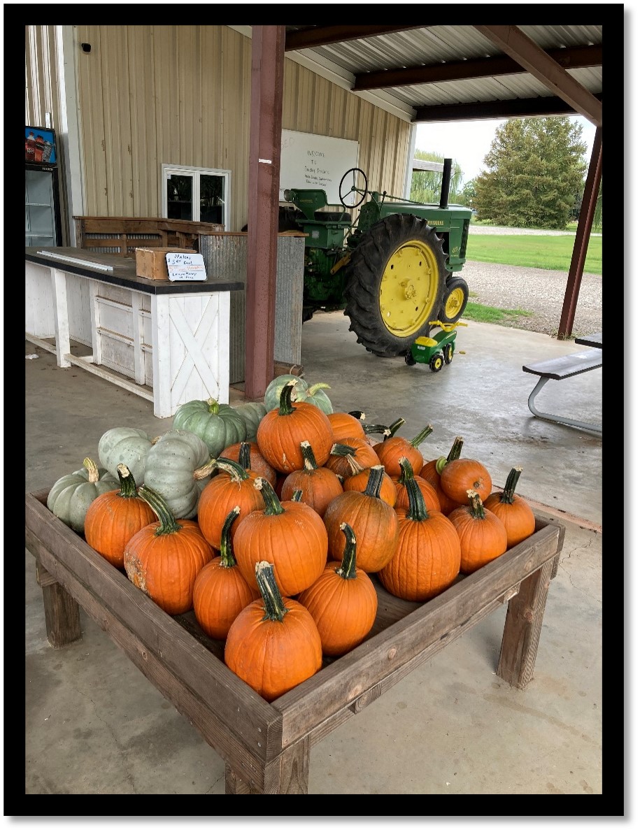 Figure 14. Jerri Dew worked with Bradley Sweetcorn and Produce in Lafayette County again this year after great success in 2023. Looks like 2024 was also a success. Photo by Jerri Dew.