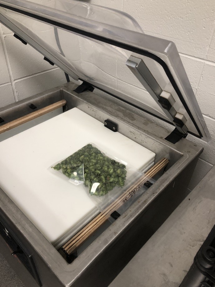 Hops in Vacuum sealer