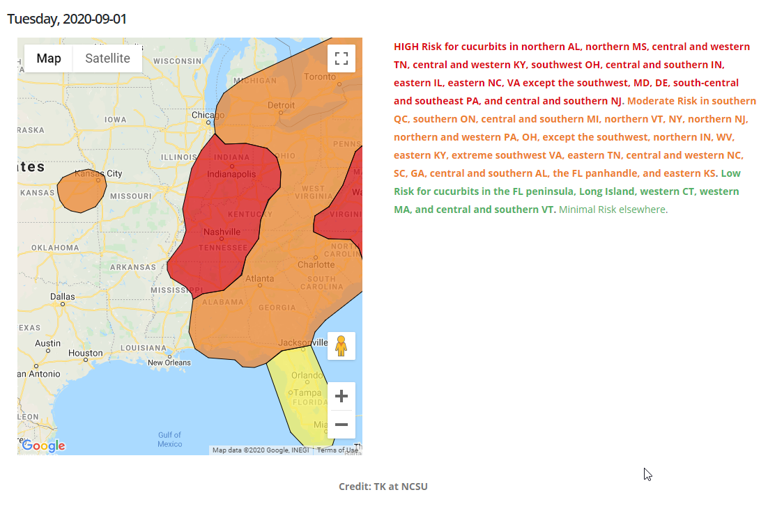 Forecast for September 1st that indicates a high risk of cucurbit downy mildew for areas close to Arkansas. This forecast is prior to samples from Arkansas being sent in on 9/2/2020.