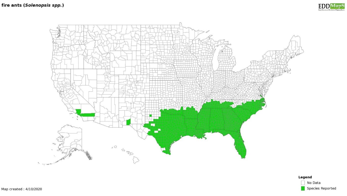 Map of the United States with counties displayed.  Green in the Southeast USA (TX, OK, AR, FL, GA, AL, TN, NC, SC, LA, and MS) also in NM and CA indicates areas where fire ants have been located. 
